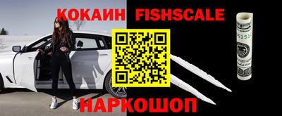соль ск Партизанск